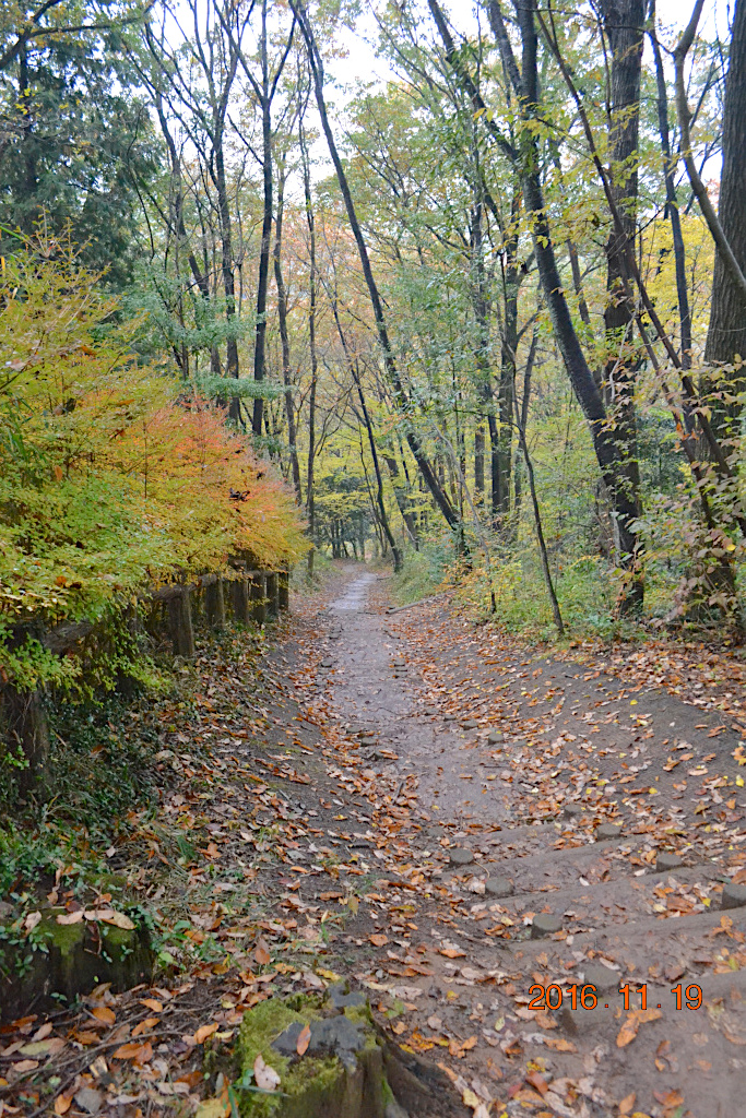 f:id:masatdm1951:20161119194114j:plain