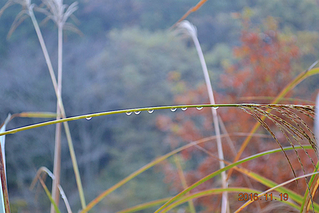 f:id:masatdm1951:20161119194201j:plain