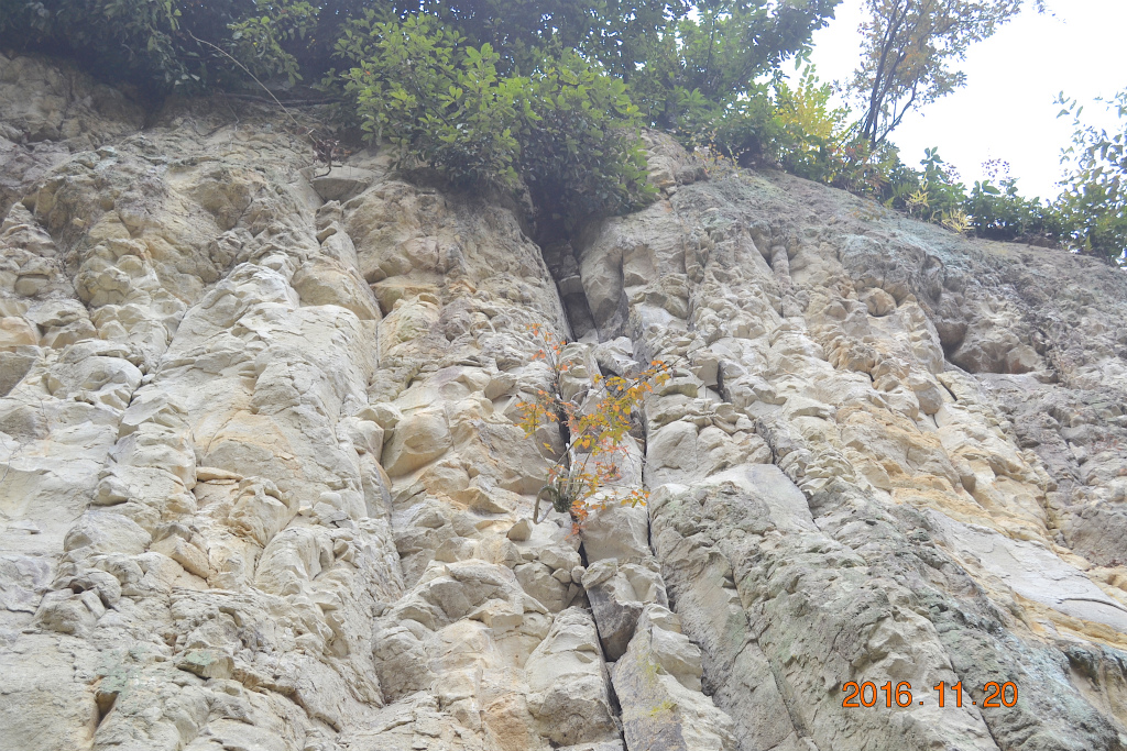 f:id:masatdm1951:20161121214409j:plain f:id:masatdm1951:20161121214409j:plain