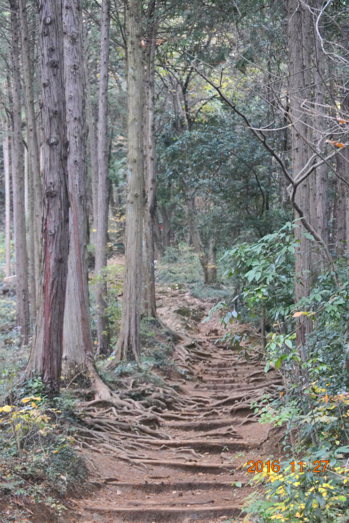 f:id:masatdm1951:20161127213734j:plain