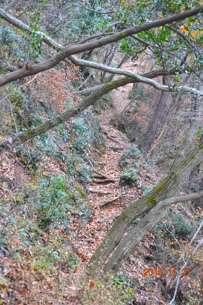 f:id:masatdm1951:20161127214139j:plain