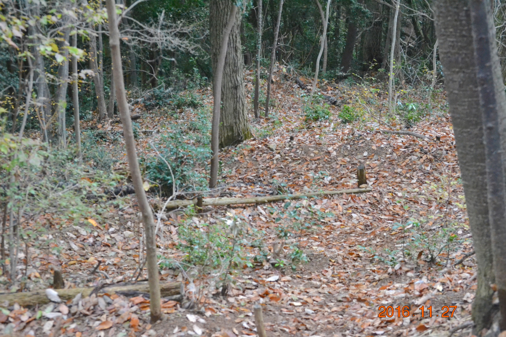 f:id:masatdm1951:20161127214209j:plain