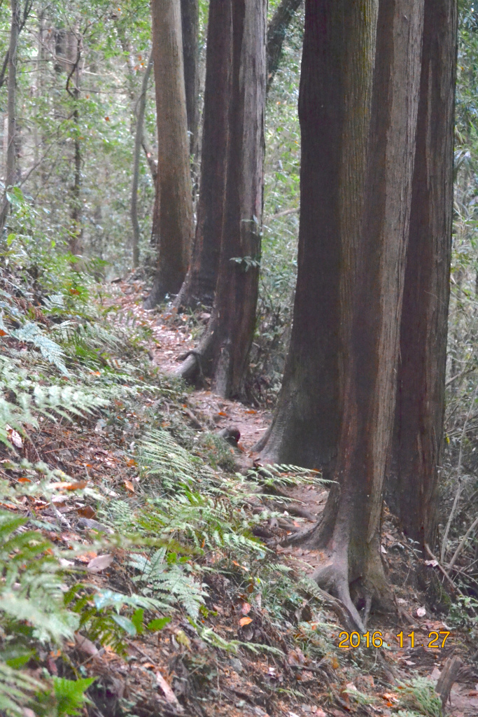 f:id:masatdm1951:20161127214227j:plain