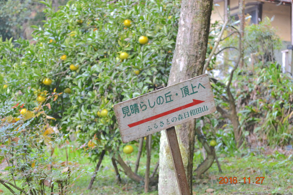 f:id:masatdm1951:20161127214234j:plain