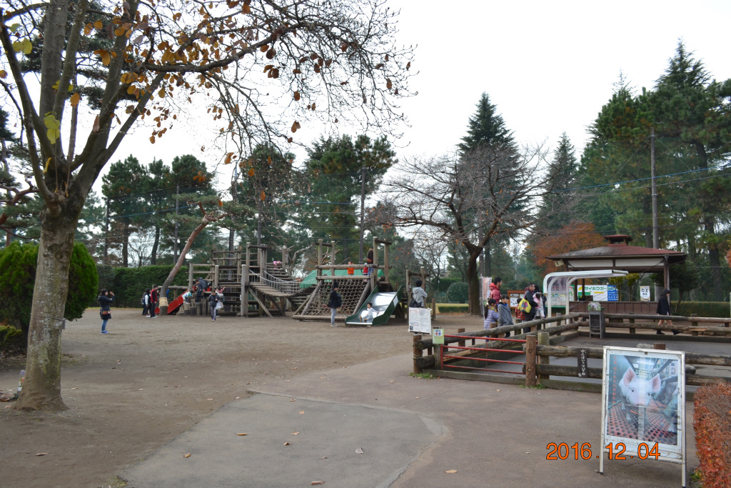 f:id:masatdm1951:20161204134053j:plain