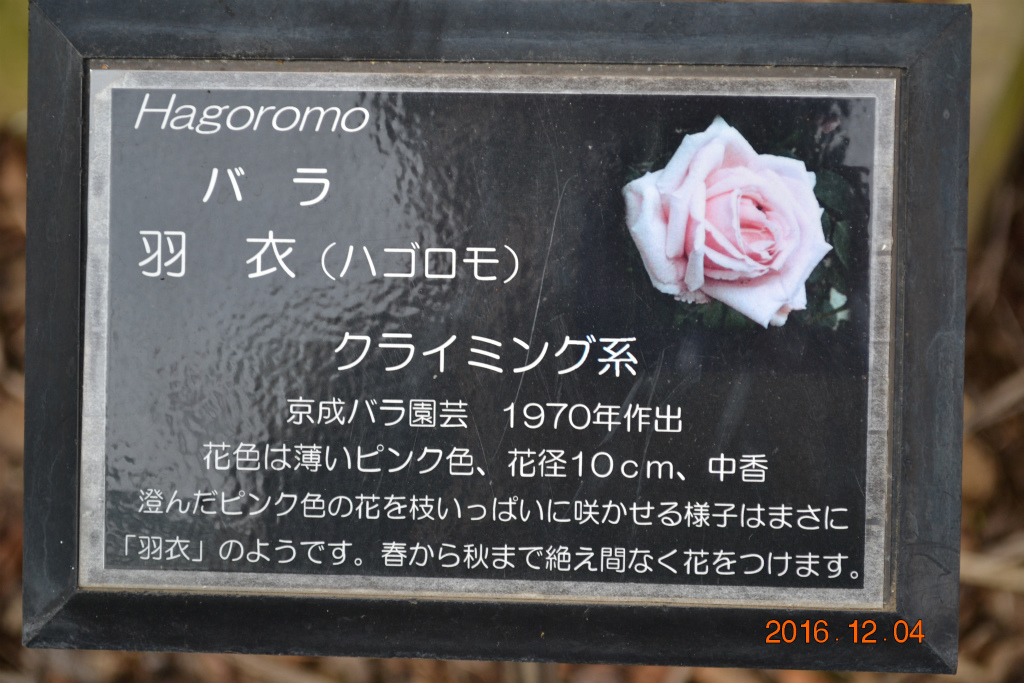 f:id:masatdm1951:20161204134155j:plain