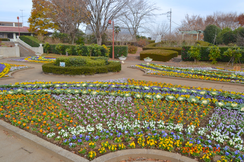 f:id:masatdm1951:20161204134210j:plain