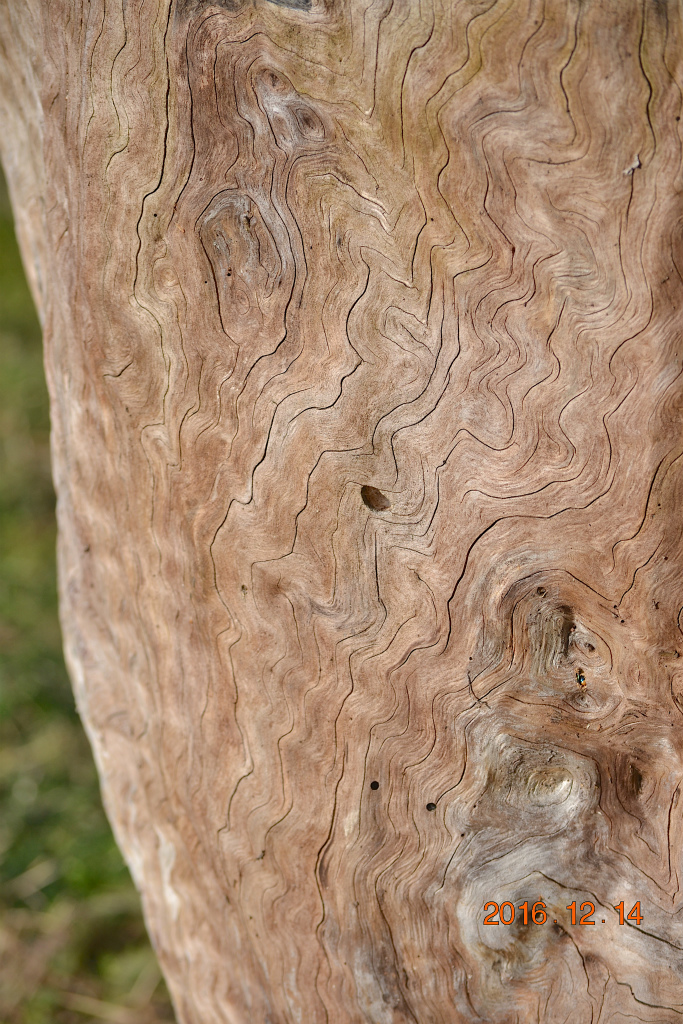 f:id:masatdm1951:20161214165103j:plain