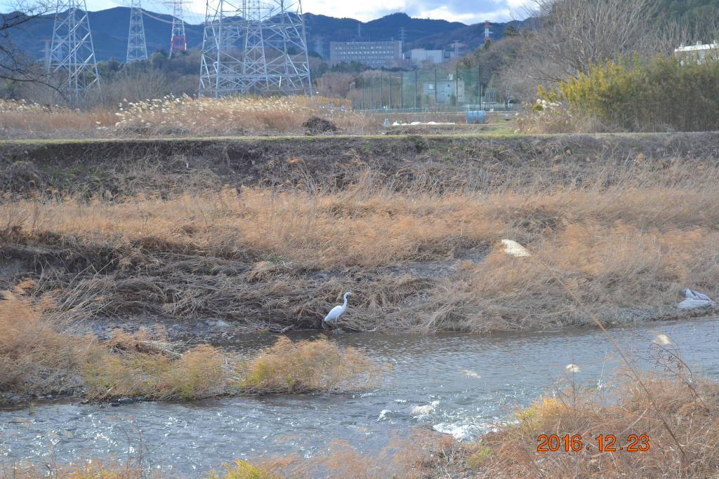 f:id:masatdm1951:20161223173645j:plain f:id:masatdm1951:20161223173645j:plain