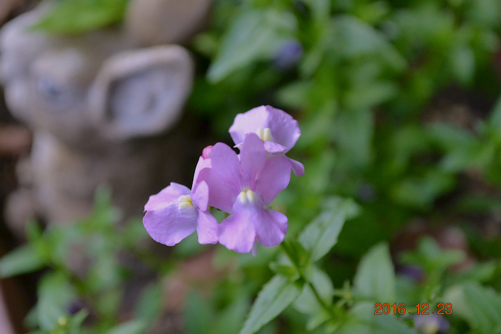 f:id:masatdm1951:20161223173749j:plain f:id:masatdm1951:20161223173749j:plain