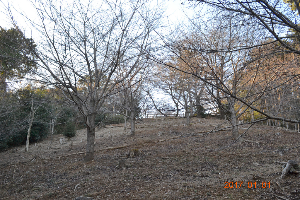 f:id:masatdm1951:20170102185526j:plain f:id:masatdm1951:20170102185526j:plain