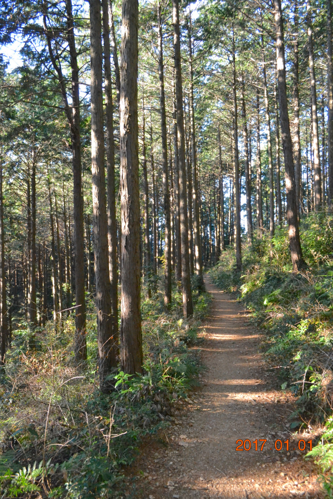 f:id:masatdm1951:20170102185654j:plain f:id:masatdm1951:20170102185654j:plain