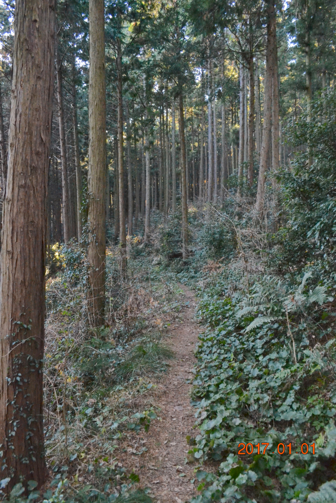 f:id:masatdm1951:20170102185705j:plain f:id:masatdm1951:20170102185705j:plain