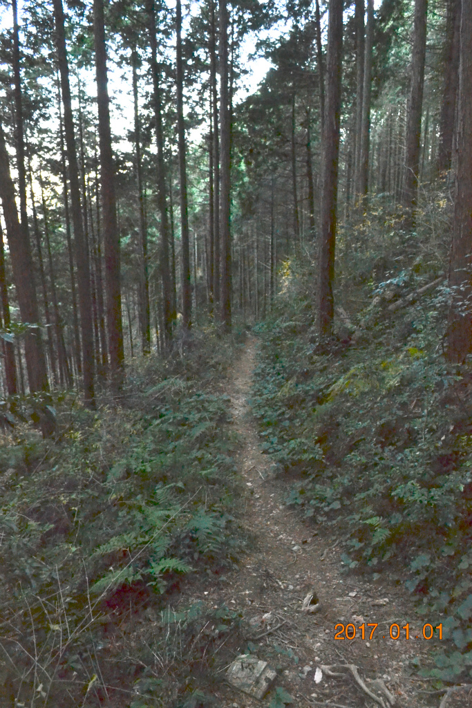 f:id:masatdm1951:20170102185731j:plain f:id:masatdm1951:20170102185731j:plain