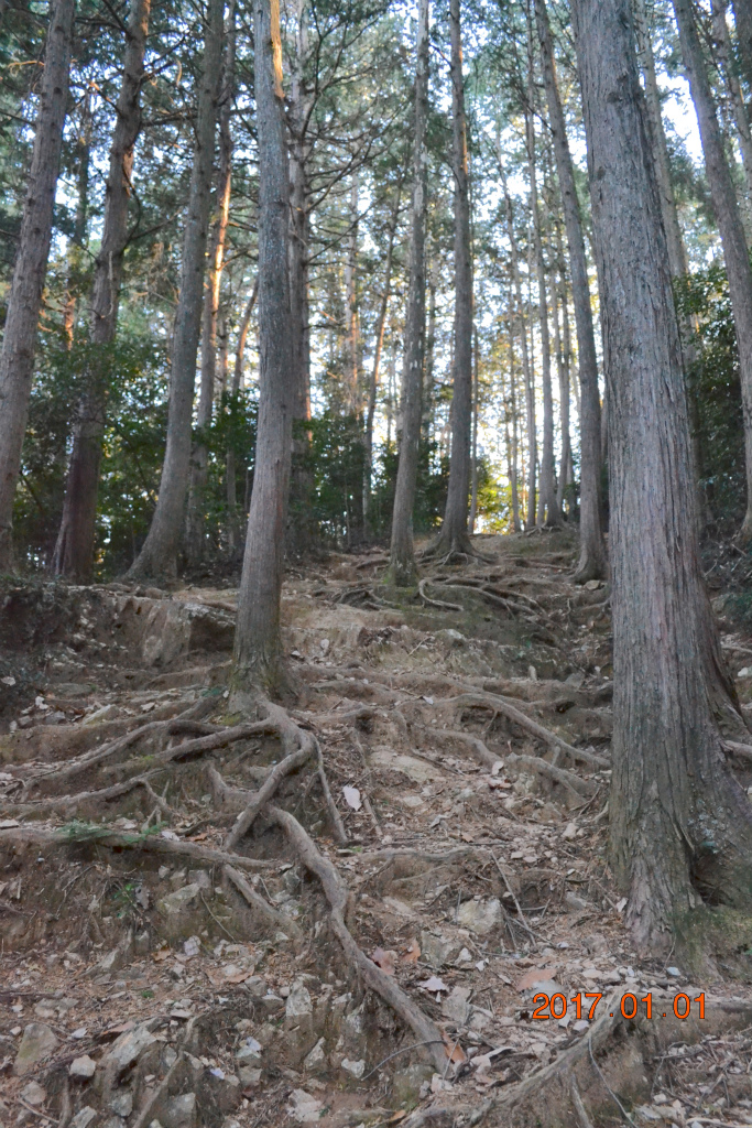 f:id:masatdm1951:20170102193822j:plain f:id:masatdm1951:20170102193822j:plain