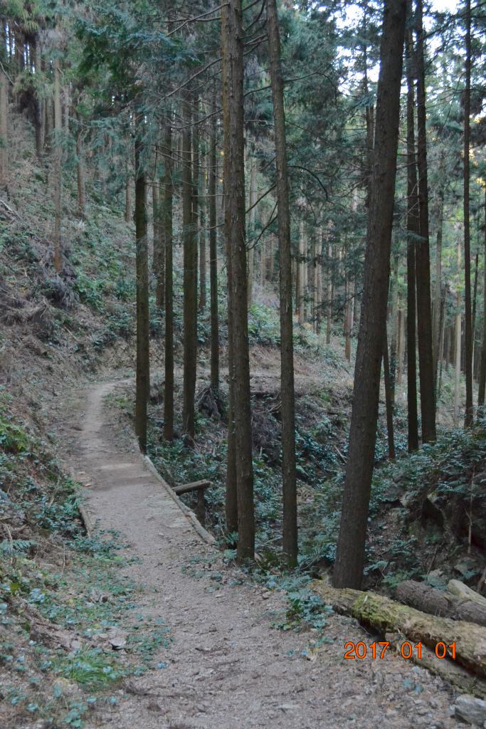 f:id:masatdm1951:20170102200356j:plain f:id:masatdm1951:20170102200356j:plain