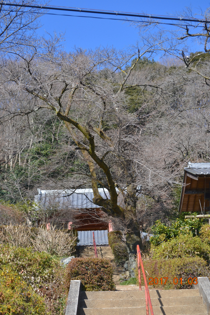 f:id:masatdm1951:20170104192619j:plain