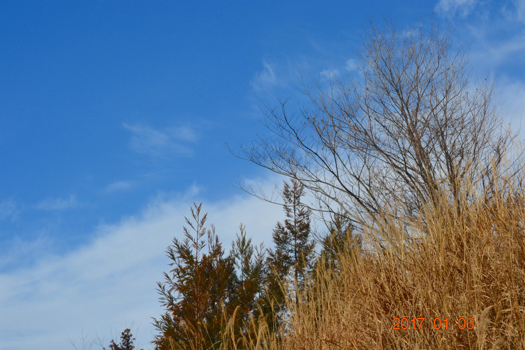 f:id:masatdm1951:20170106180708j:plain