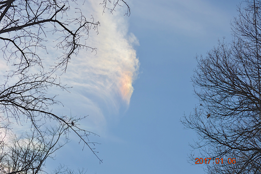 f:id:masatdm1951:20170107060351j:plain