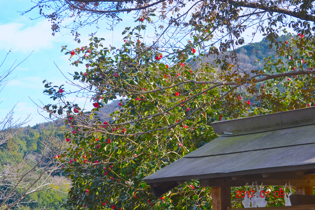 f:id:masatdm1951:20170109172250j:plain f:id:masatdm1951:20170109172250j:plain