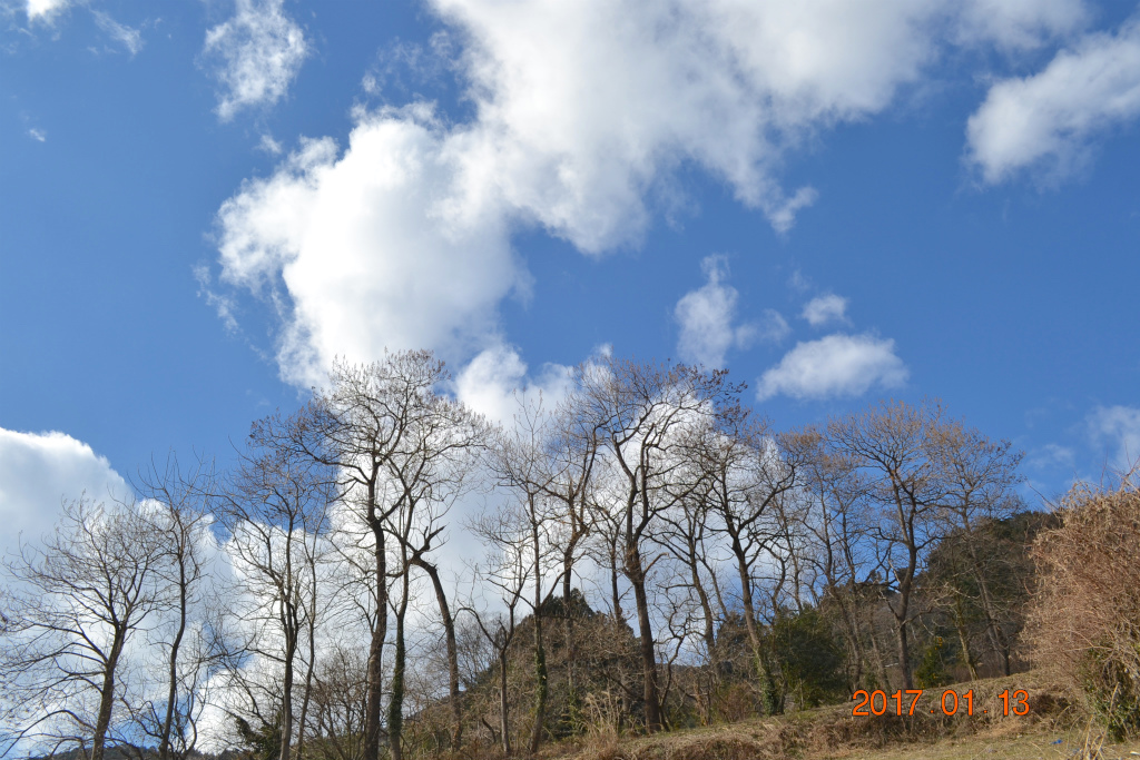 f:id:masatdm1951:20170113230811j:plain