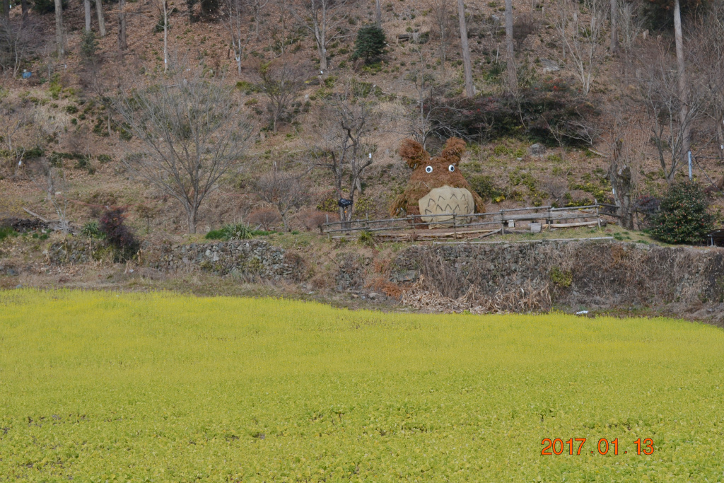 f:id:masatdm1951:20170113230824j:plain