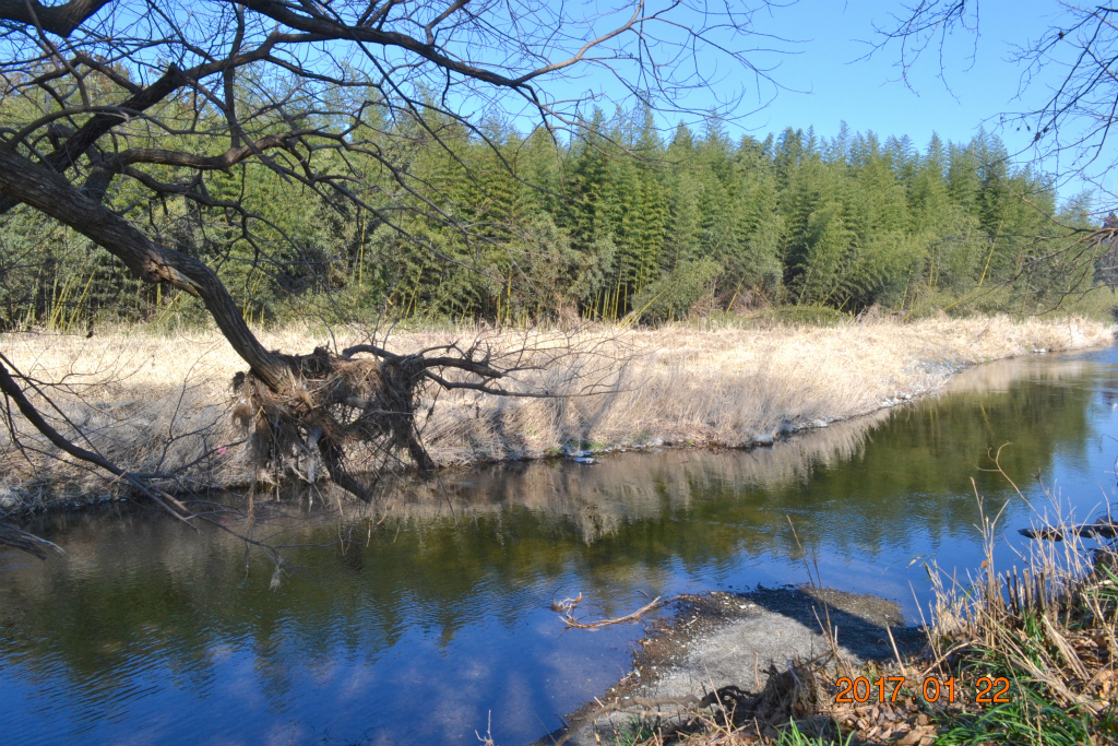 f:id:masatdm1951:20170122130122j:plain f:id:masatdm1951:20170122130122j:plain