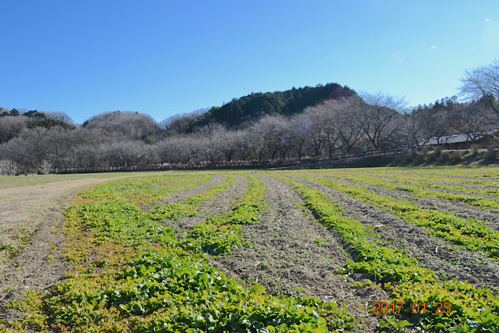 f:id:masatdm1951:20170125173740j:plain f:id:masatdm1951:20170125173740j:plain