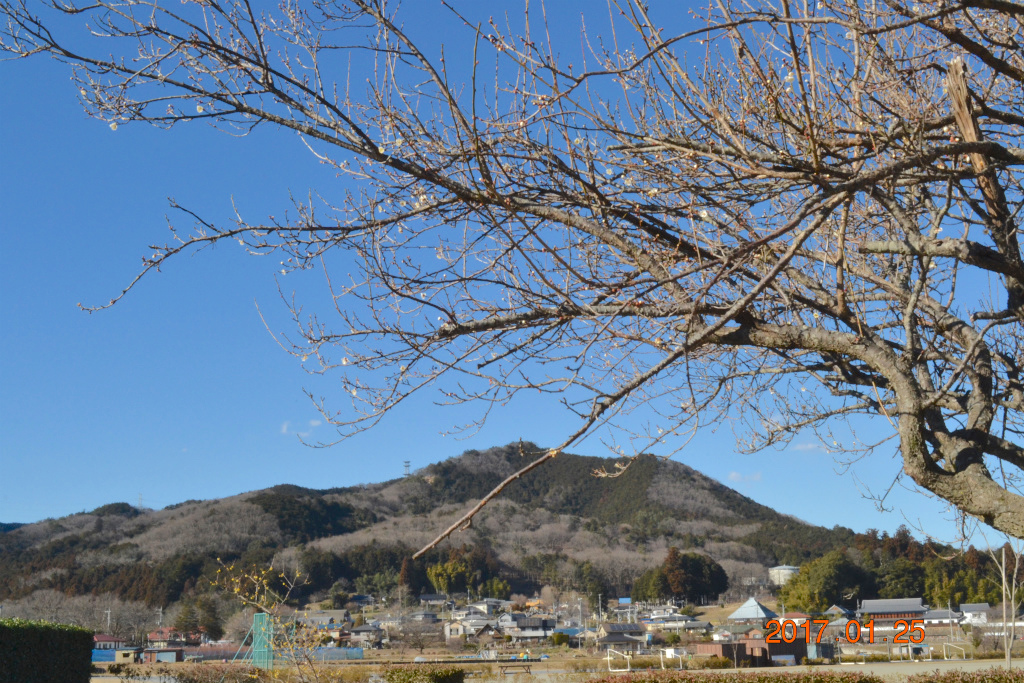 f:id:masatdm1951:20170125173806j:plain f:id:masatdm1951:20170125173806j:plain