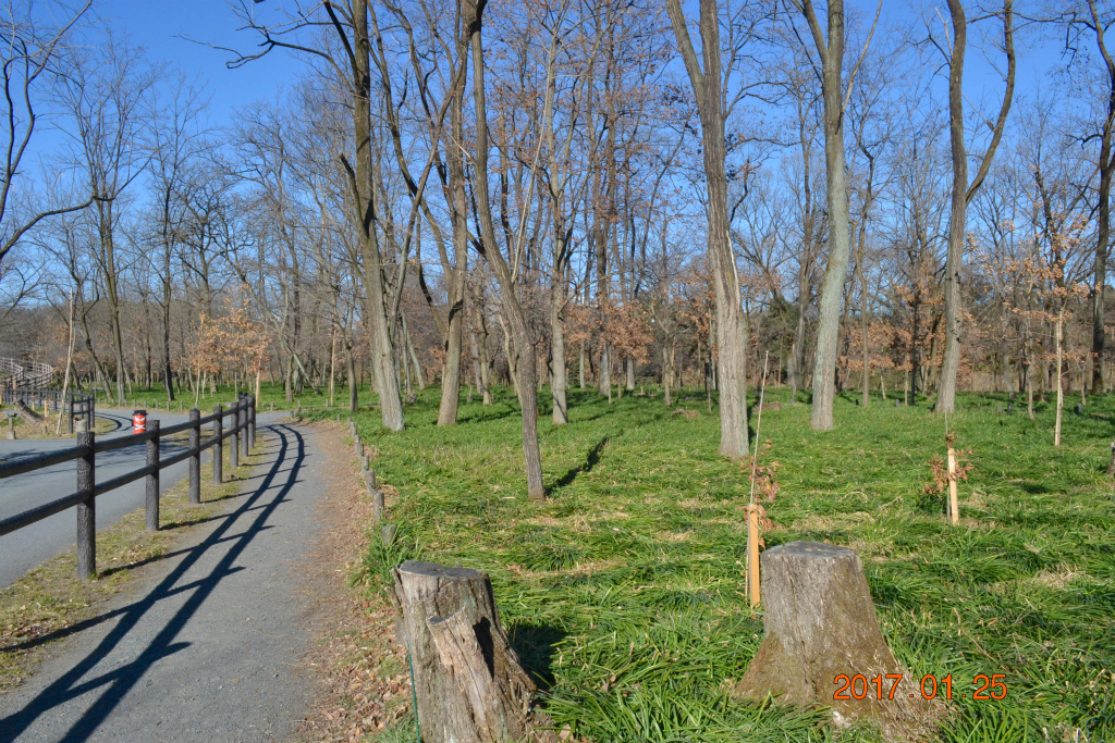 f:id:masatdm1951:20170125173838j:plain f:id:masatdm1951:20170125173838j:plain