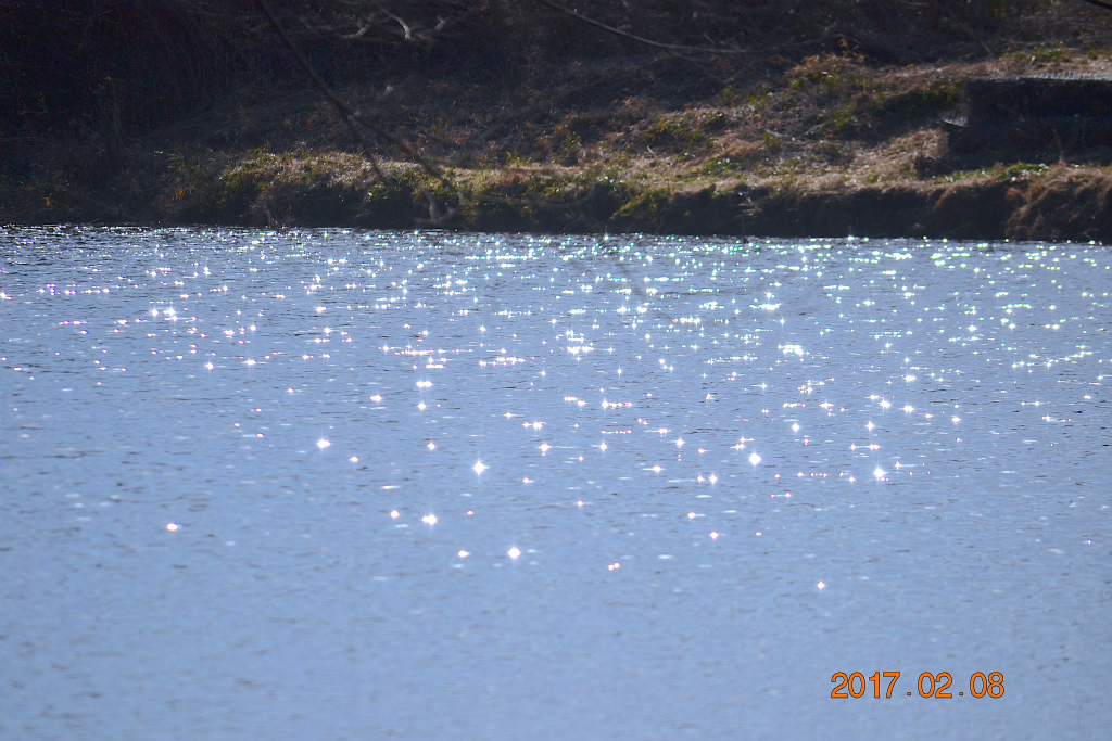 f:id:masatdm1951:20170208201021j:plain f:id:masatdm1951:20170208201021j:plain