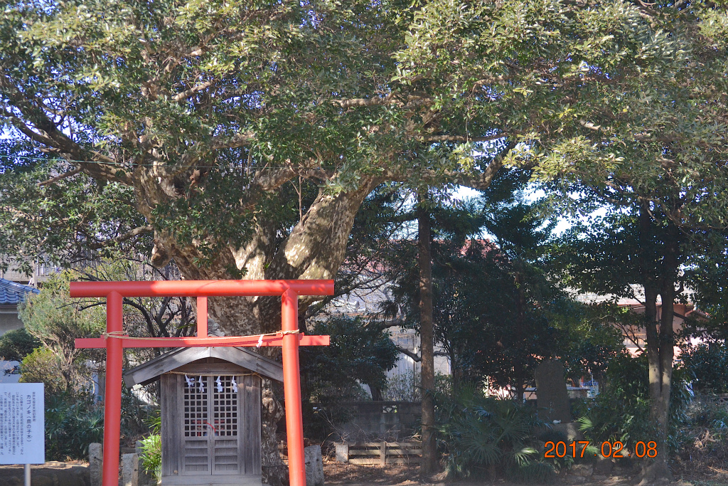 f:id:masatdm1951:20170208201025j:plain f:id:masatdm1951:20170208201025j:plain