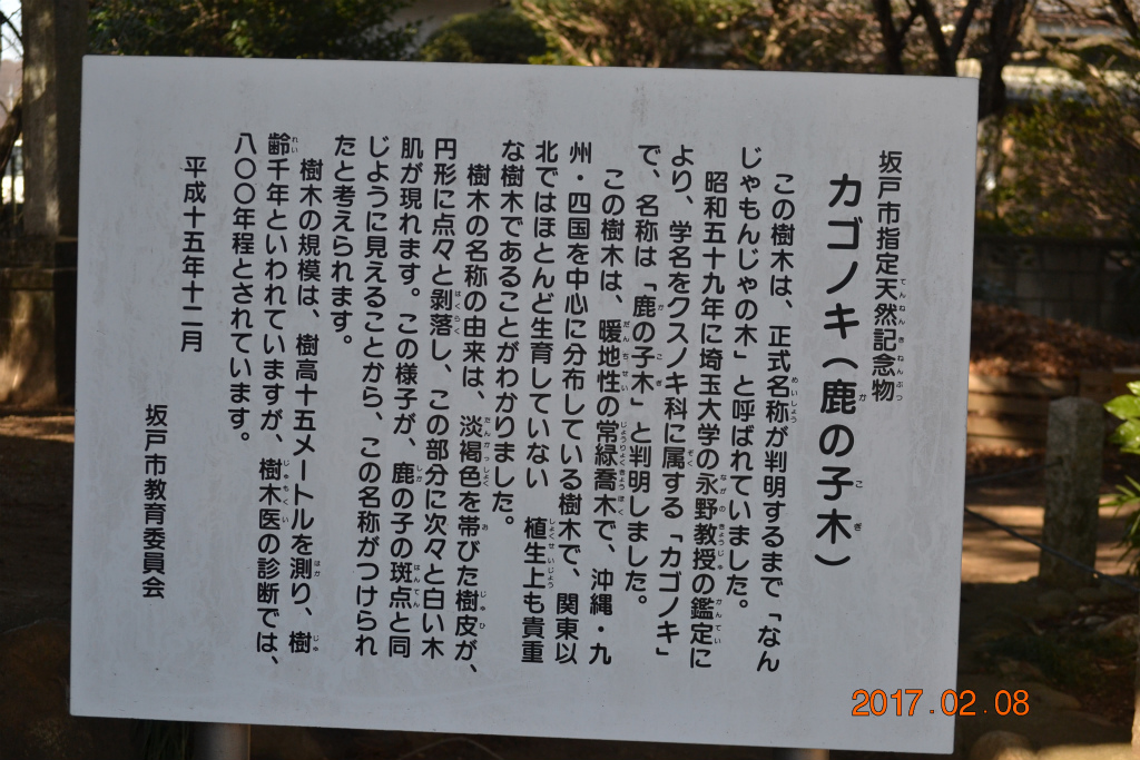 f:id:masatdm1951:20170208201029j:plain f:id:masatdm1951:20170208201029j:plain