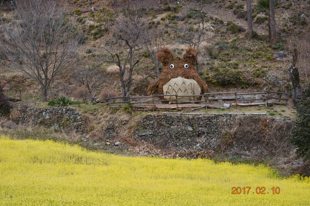 f:id:masatdm1951:20170210231845j:plain f:id:masatdm1951:20170210231845j:plain