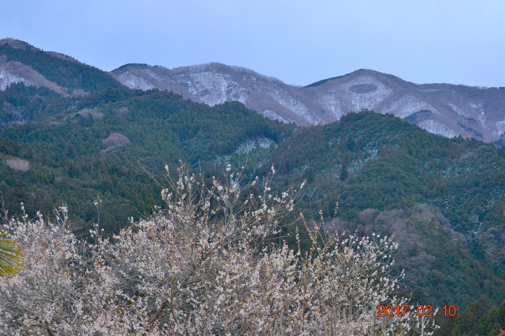 f:id:masatdm1951:20170210231856j:plain f:id:masatdm1951:20170210231856j:plain