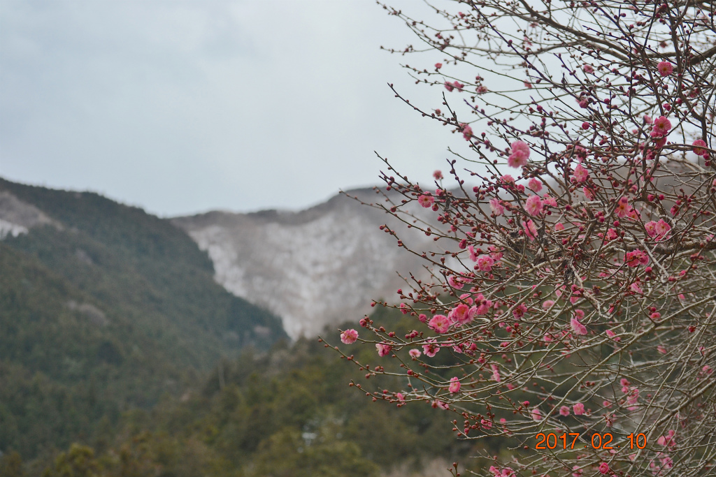 f:id:masatdm1951:20170210231904j:plain f:id:masatdm1951:20170210231904j:plain