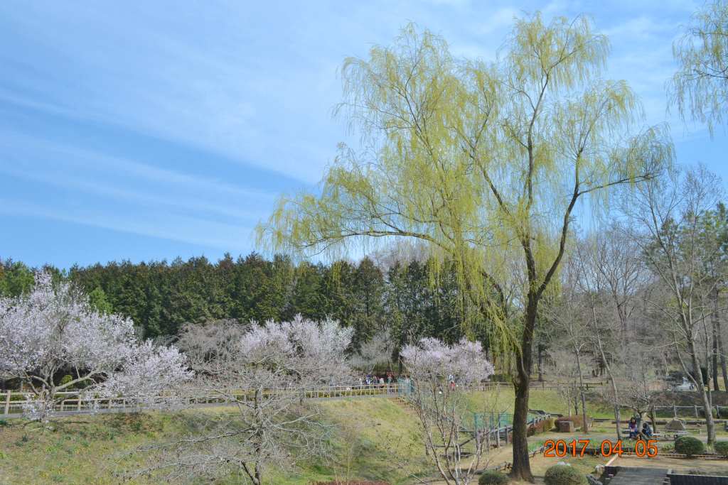 f:id:masatdm1951:20170405162155j:plain