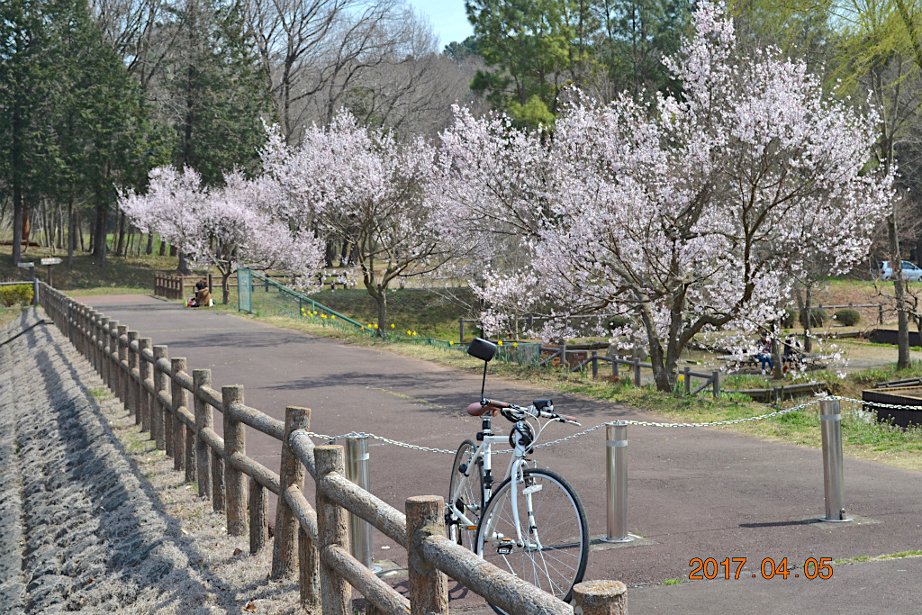 f:id:masatdm1951:20170405162202j:plain