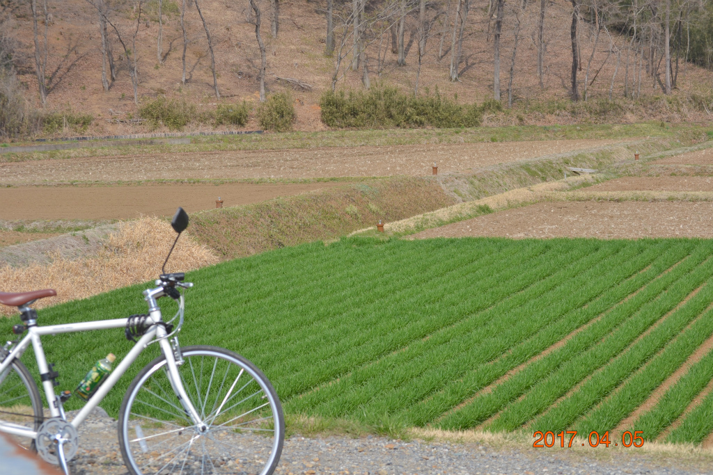 f:id:masatdm1951:20170405162316j:plain