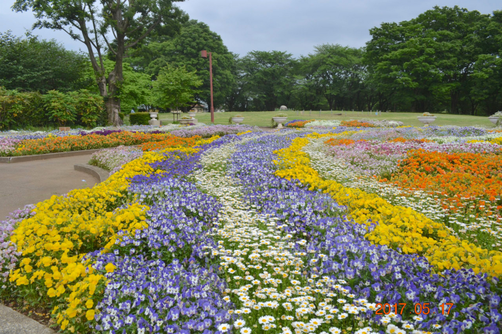 f:id:masatdm1951:20170518224202j:plain