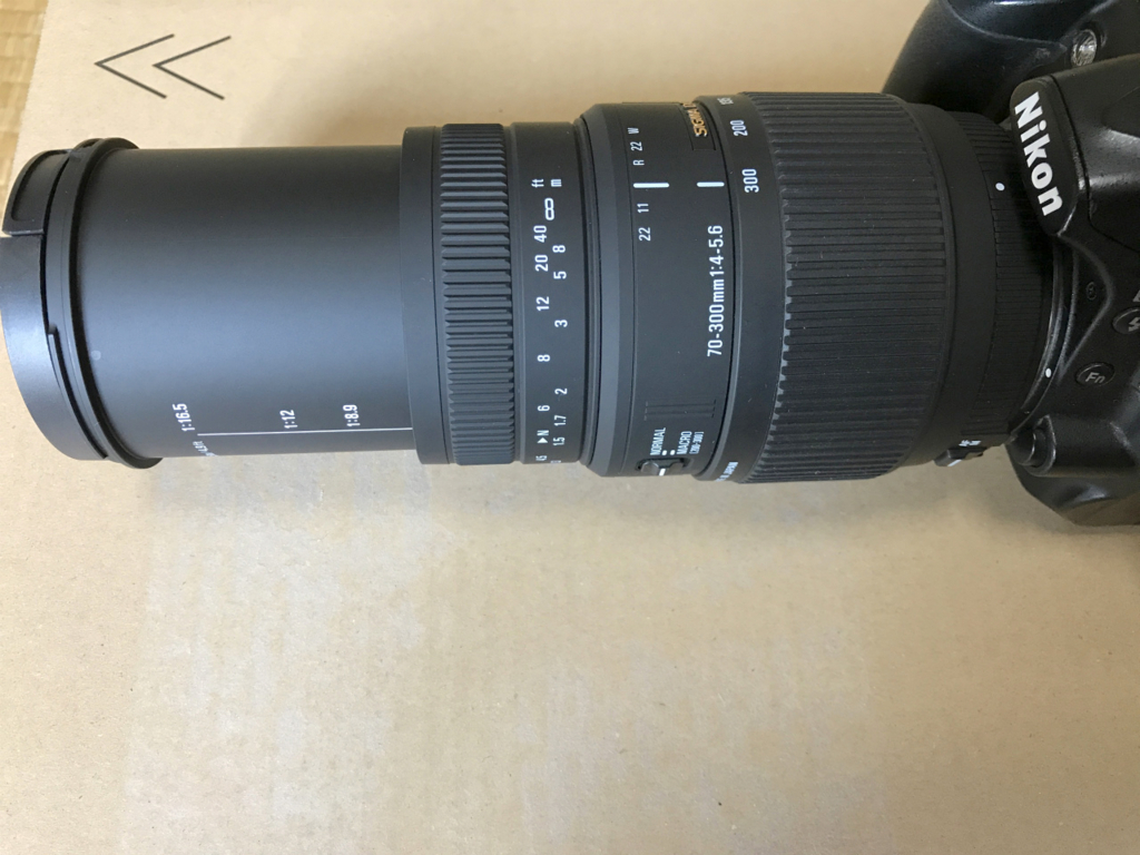 f:id:masatdm1951:20170609174934j:plain f:id:masatdm1951:20170609174934j:plain