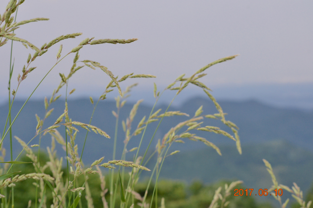 f:id:masatdm1951:20170611081928j:plain f:id:masatdm1951:20170611081928j:plain