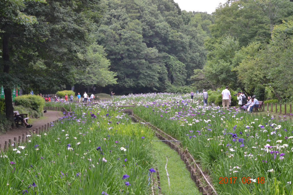 f:id:masatdm1951:20170619205838j:plain