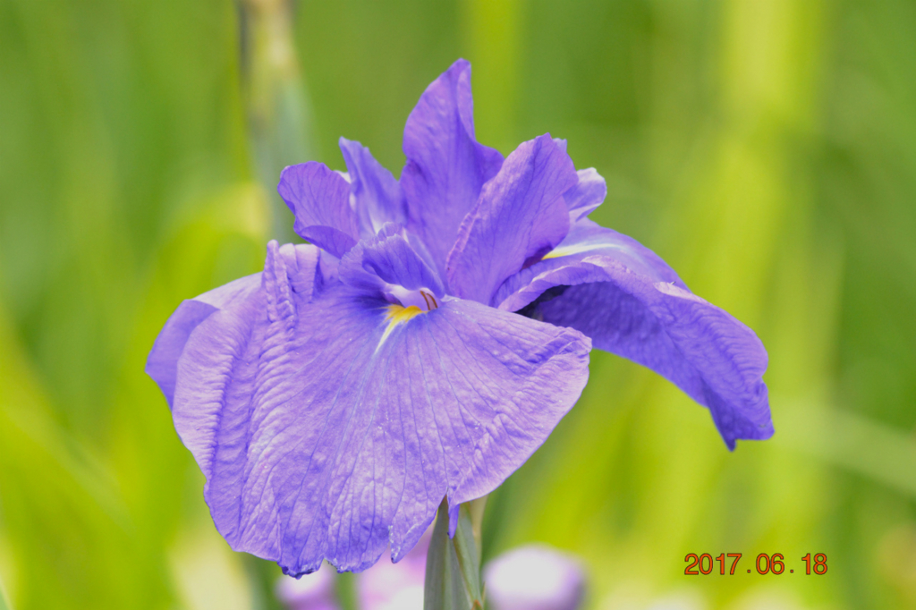 f:id:masatdm1951:20170619205910j:plain