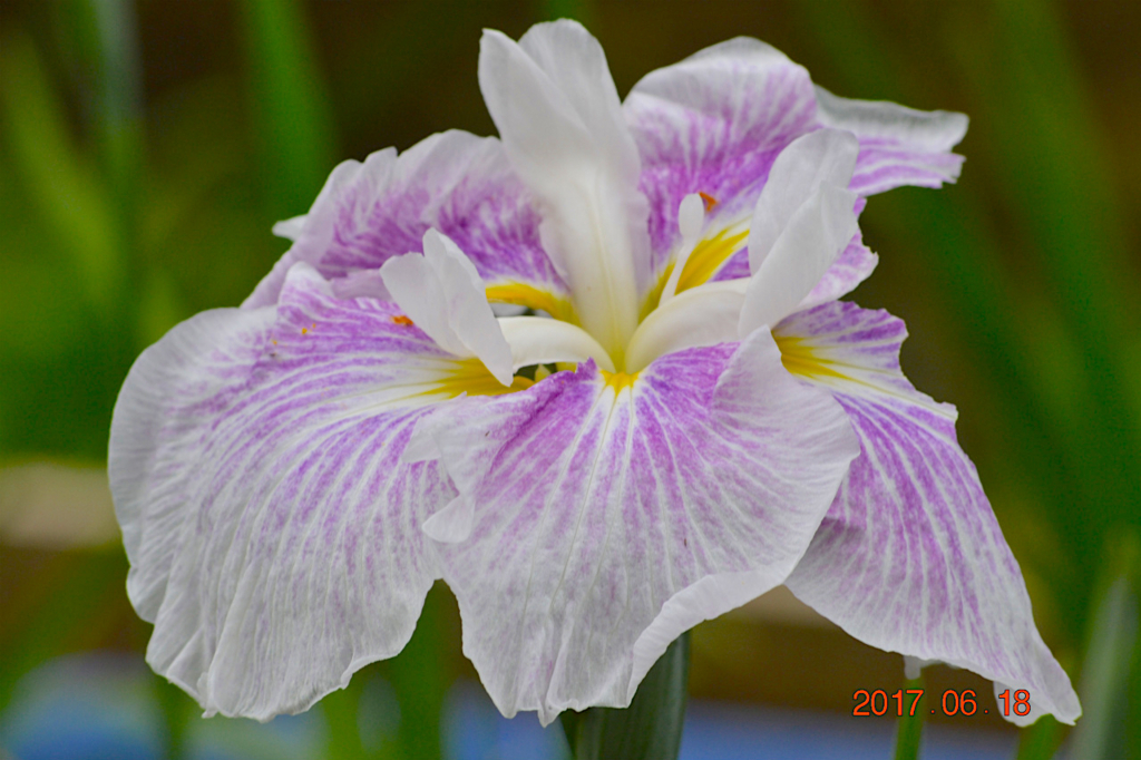 f:id:masatdm1951:20170619205914j:plain