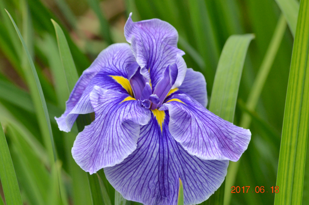 f:id:masatdm1951:20170619205919j:plain