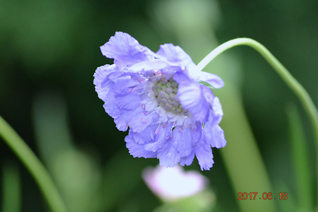 f:id:masatdm1951:20170619210012j:plain