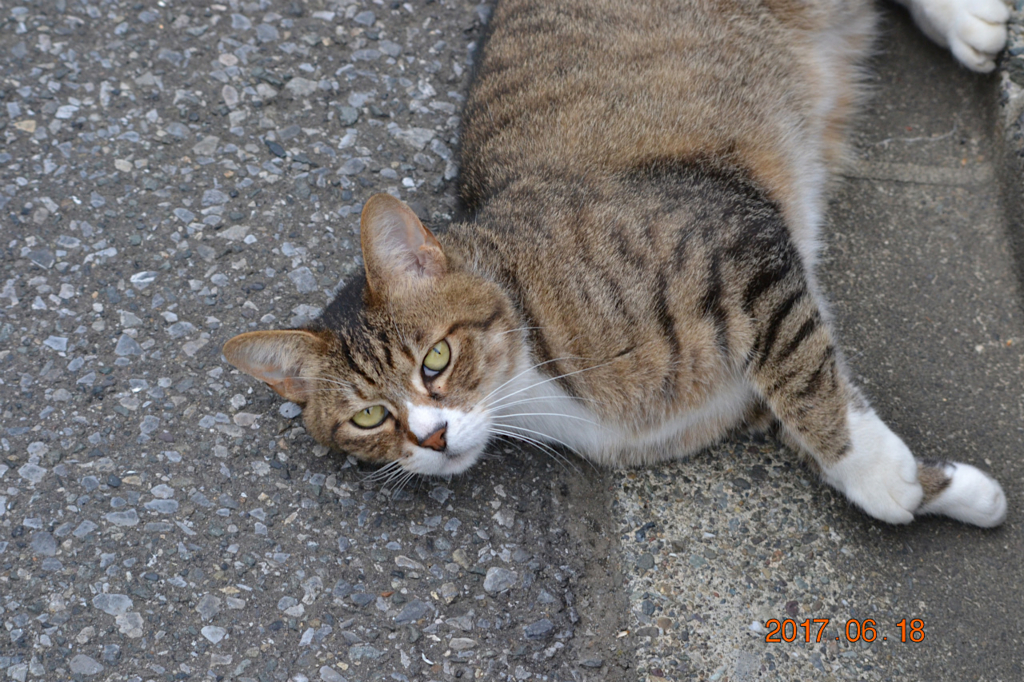 f:id:masatdm1951:20170619210111j:plain