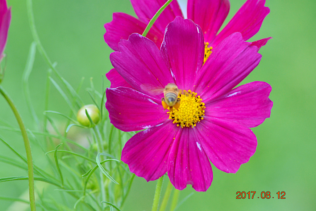 f:id:masatdm1951:20170812193210j:plain f:id:masatdm1951:20170812193210j:plain