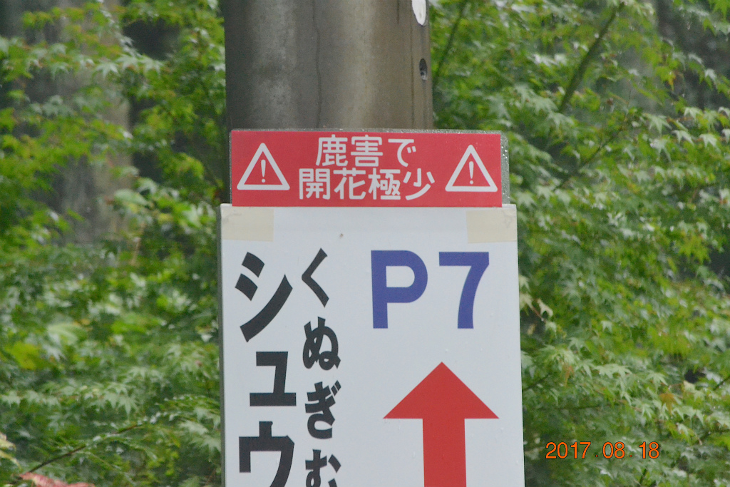 f:id:masatdm1951:20170818140518j:plain